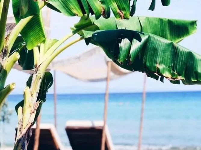 Boho House 度假居