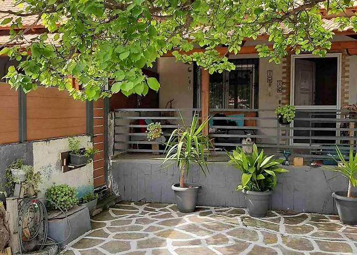 Boho House 度假居