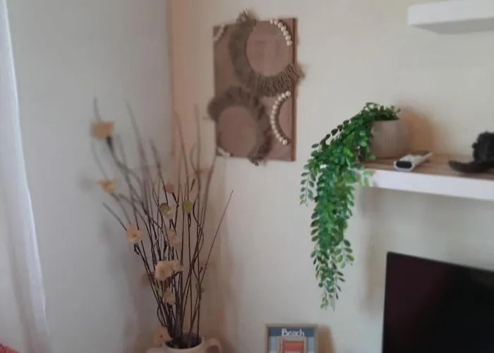 Boho House 度假居