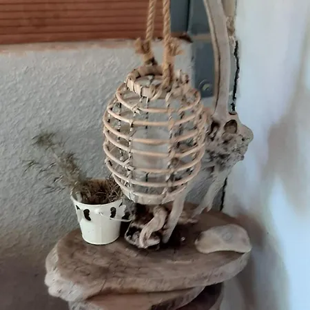 Dom wakacyjny Boho House *